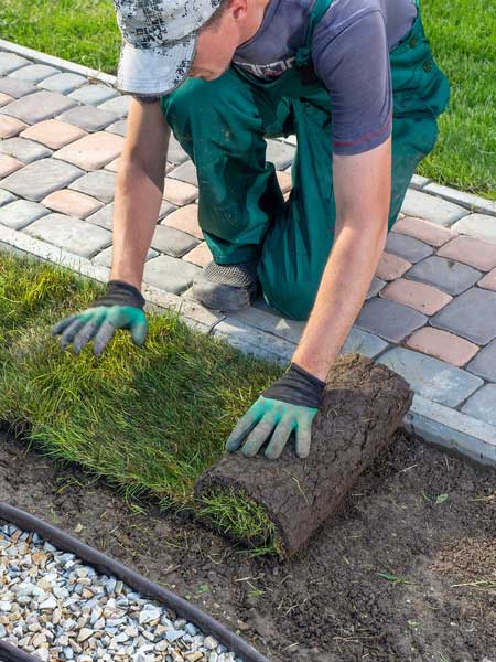 Refresh Gardens and Landscaping